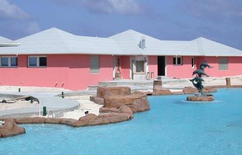 bahama pool view